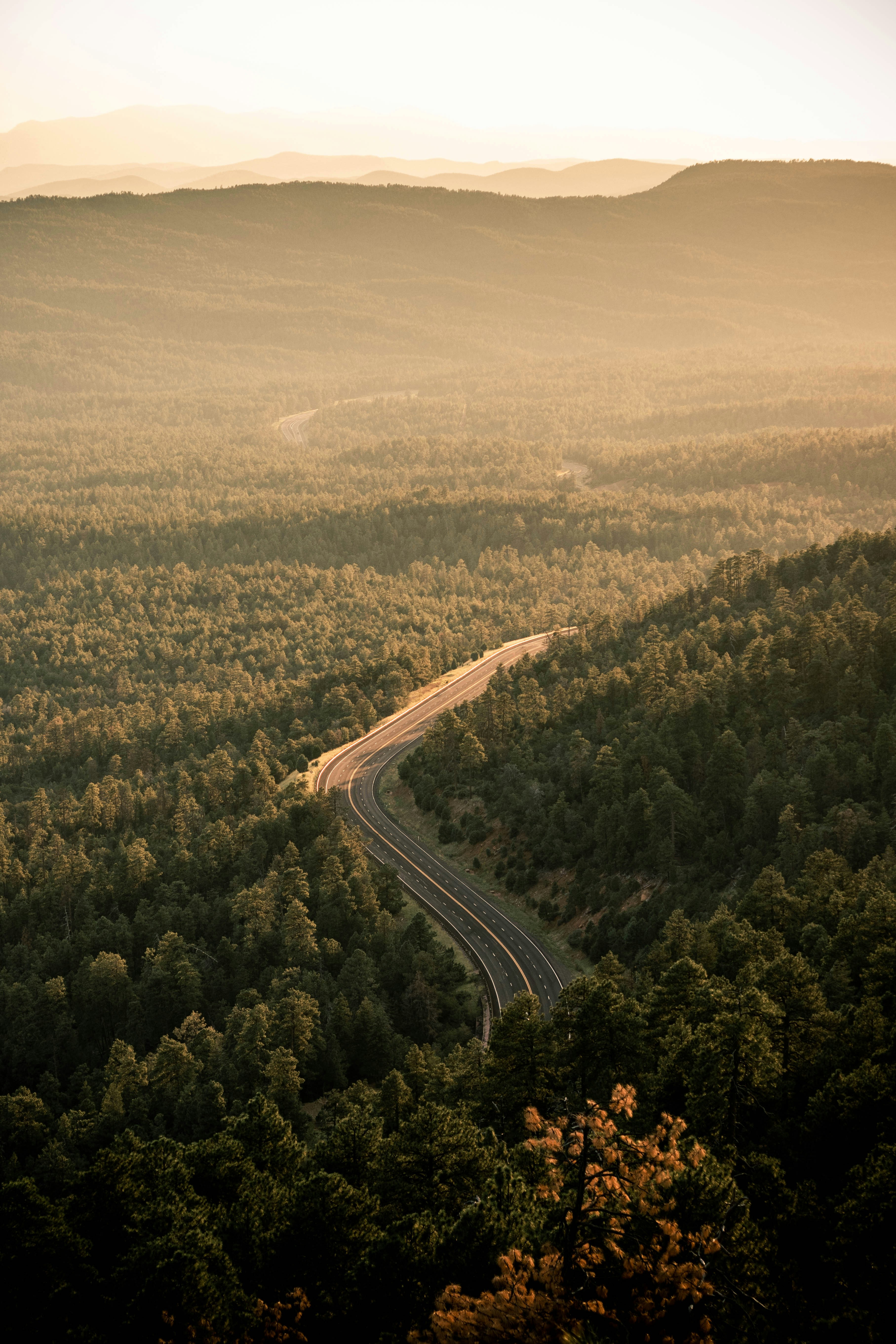 Mogollon Rim